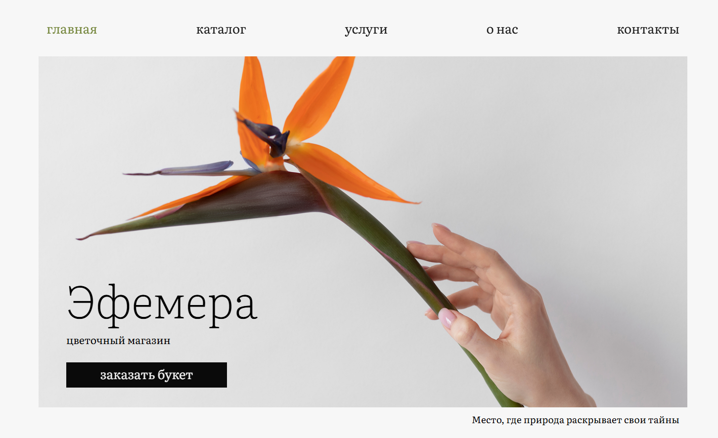 Скриншот главной страницы разработанного сайта Efemera